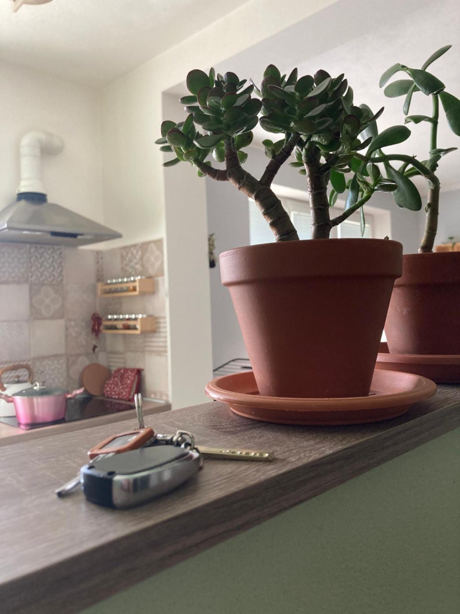 Repose Residence Liptovský Mikuláš Dış mekan fotoğraf
